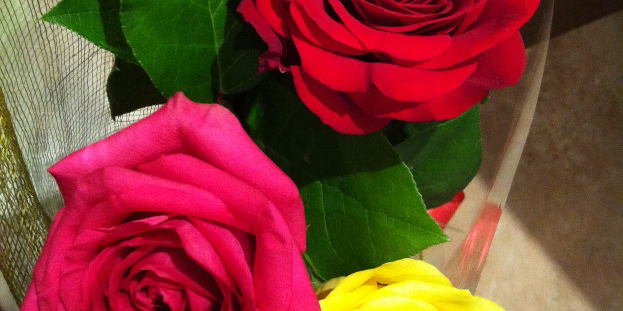 s_3li's profile banner image