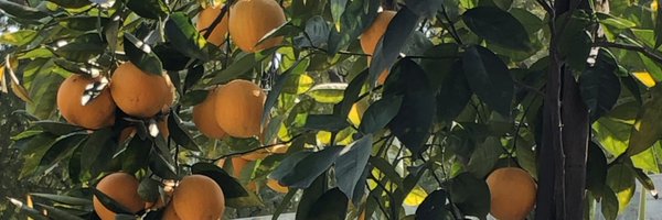 JRCossio Profile Banner