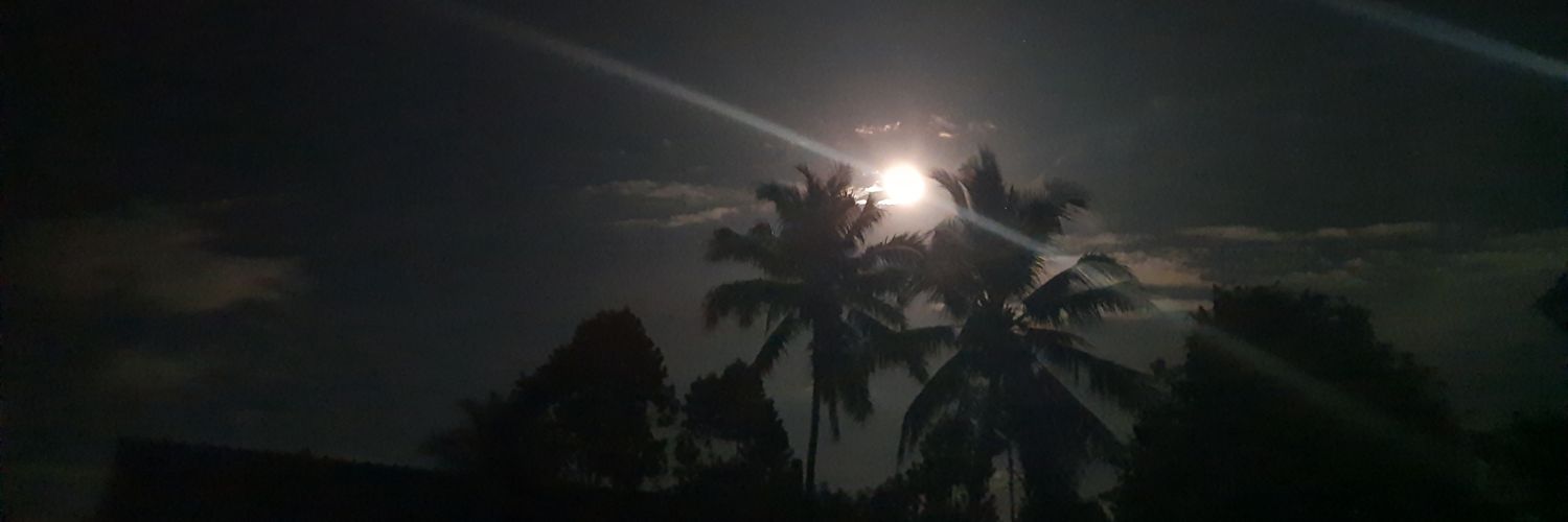 misbaaah_'s profile banner image