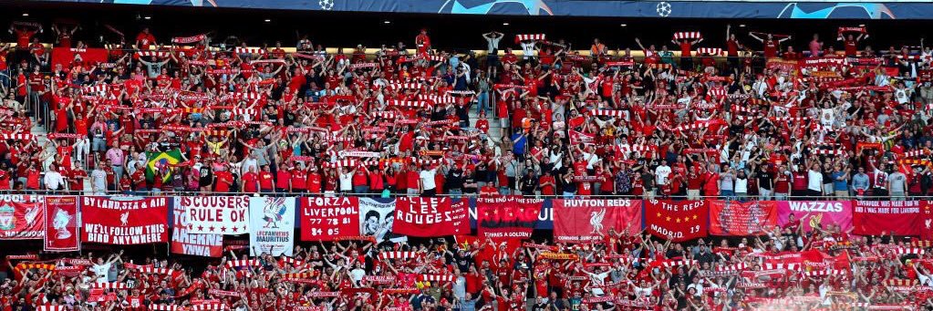 tomref15's profile banner image