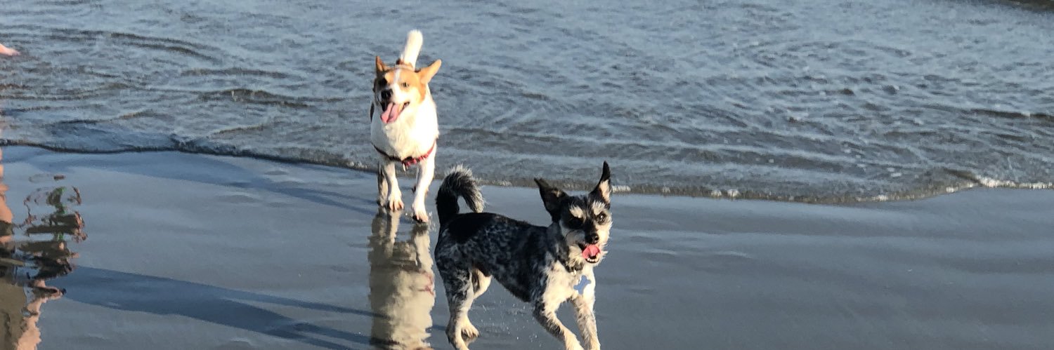 hmurphywalker's profile banner image