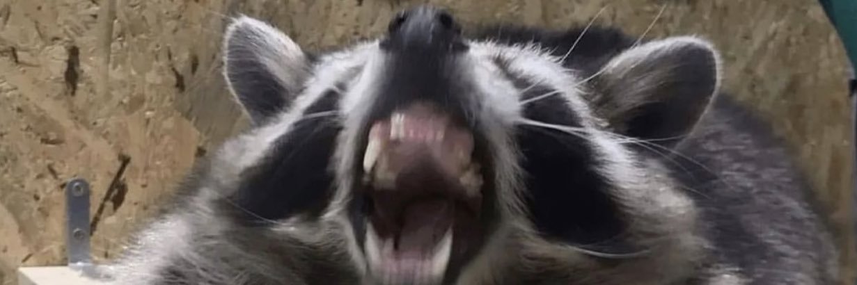 deanserinn's profile banner image