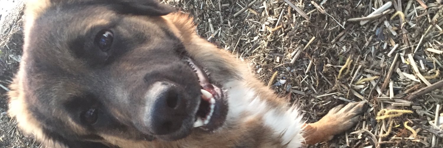 daaviees's profile banner image