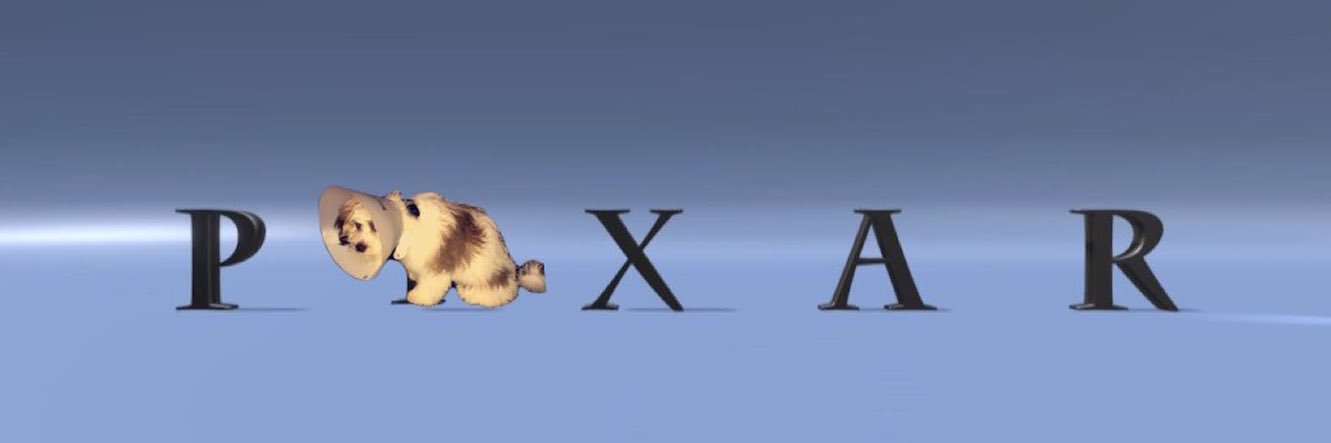 switzerlexi's profile banner image