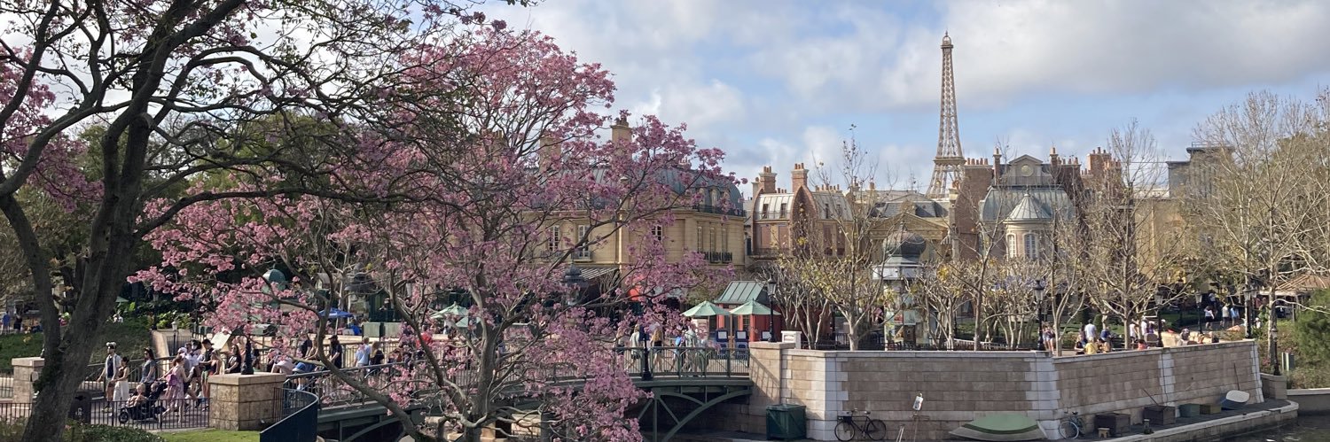 Luciana Cocchi banner