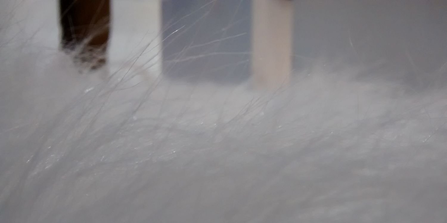 Ritesh Ranglani banner