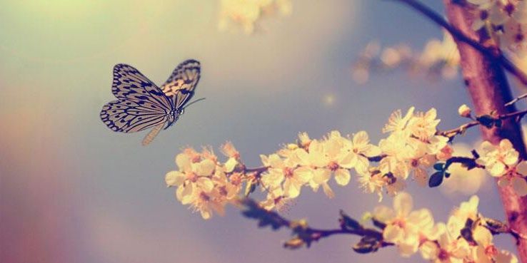 mic_ojok's profile banner image