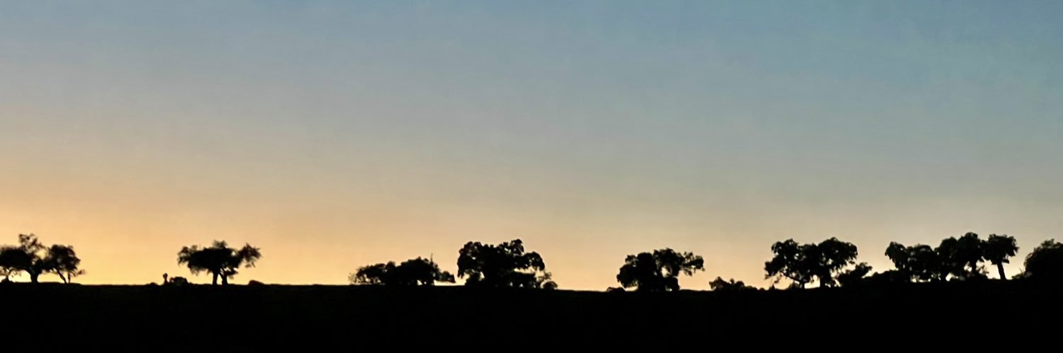 ChemaBarrios8's profile banner image