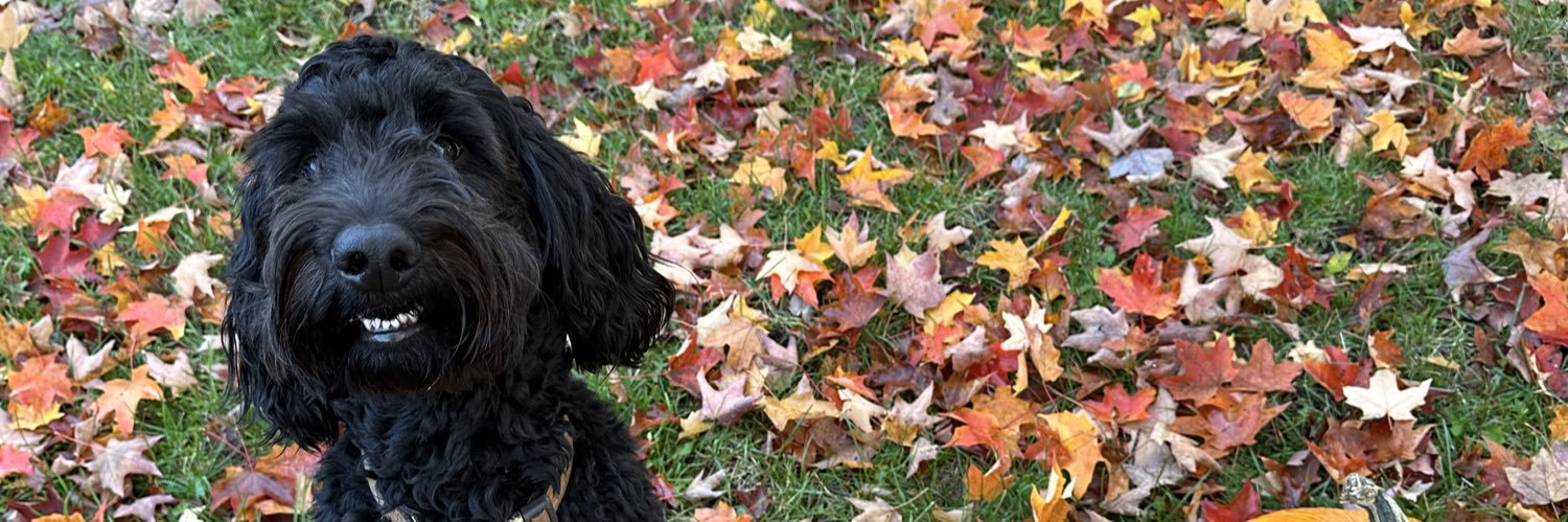 KunseKylee's profile banner image