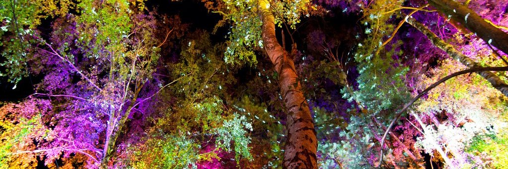 Alba Blablabla 💜🔻🏳️‍🌈 banner