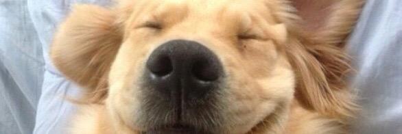 giovannasantar2's profile banner image