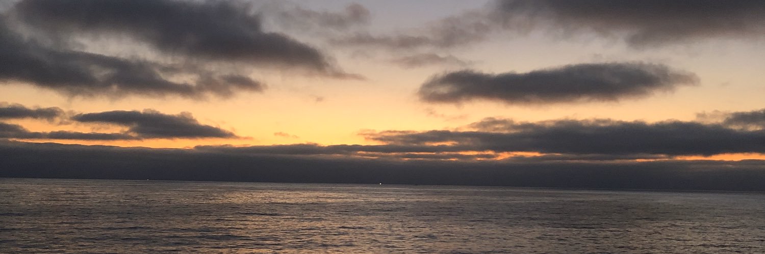 msteeves_'s profile banner image