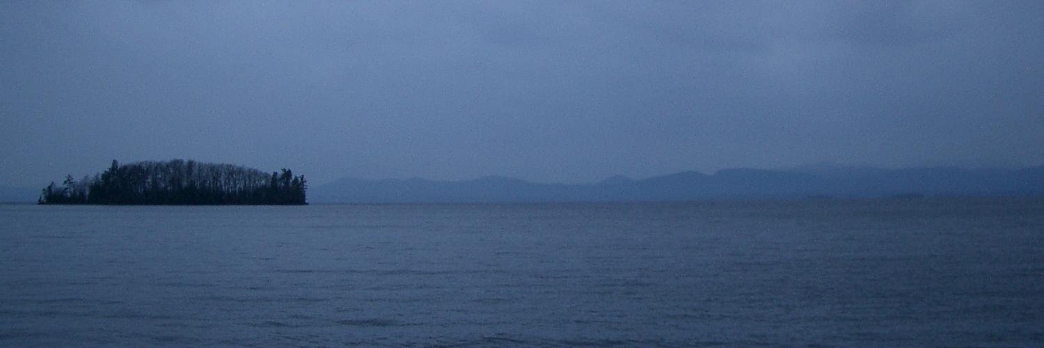 adanigelis's profile banner image