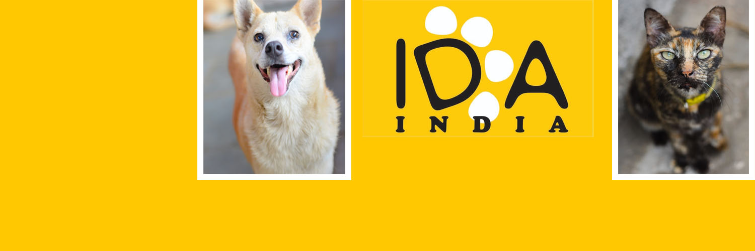 In Defense Of Animals India banner
