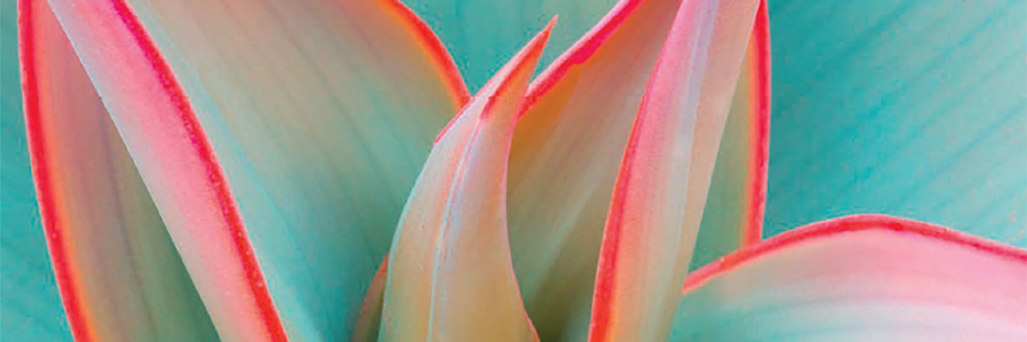 GatherMagazine's profile banner image