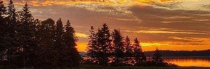 kalih999's profile banner image