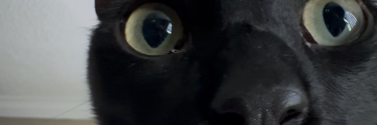 MissKweefer's profile banner image