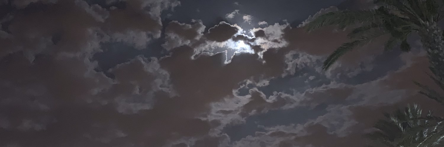 MCooky91's profile banner image