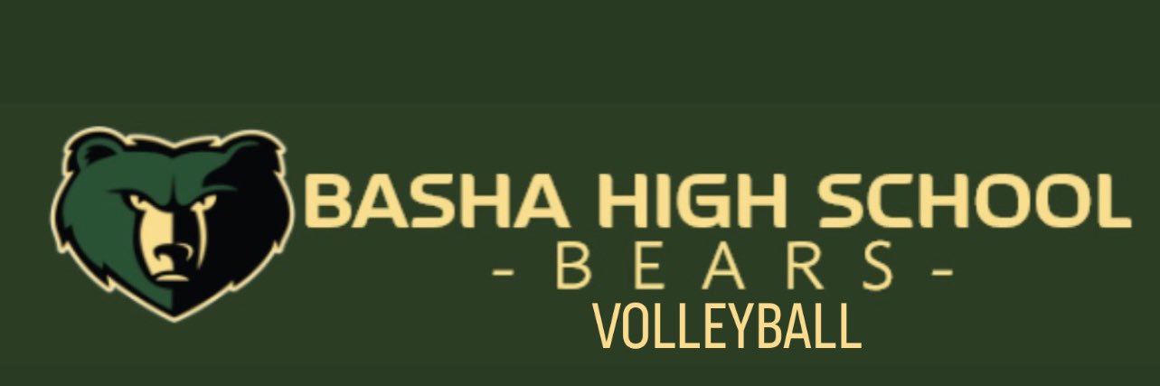 Basha HS Volleyball banner