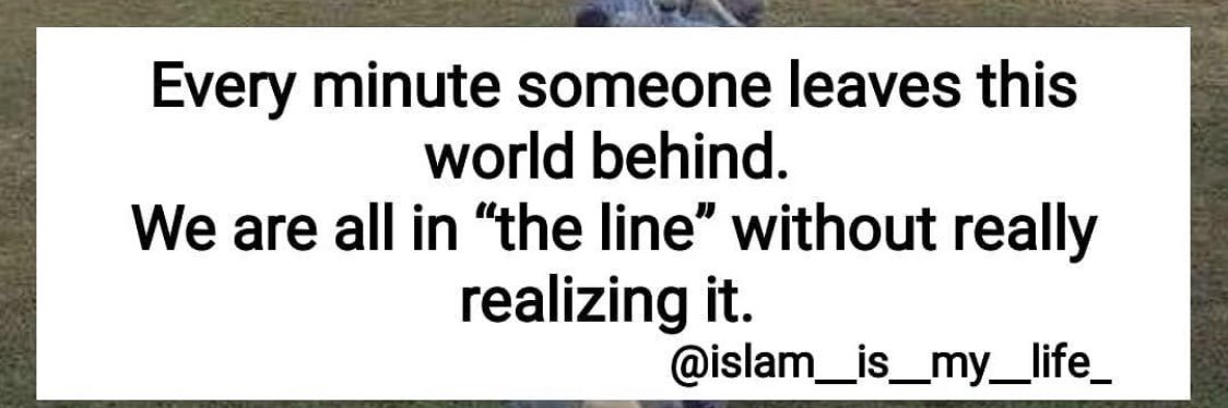 Fatima Yerima Askira banner