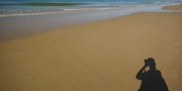 cabussoneta's profile banner image