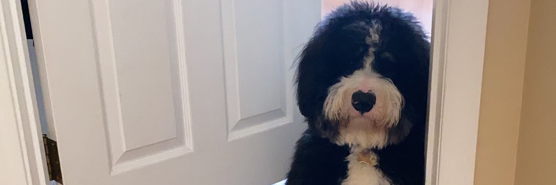 maedoherty25's profile banner image