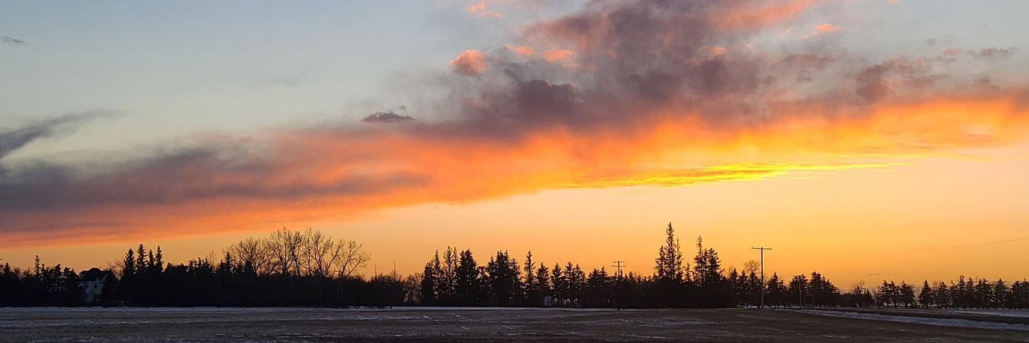 Elisa17wx's profile banner image