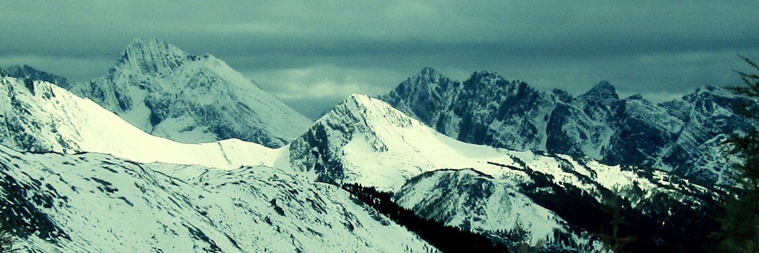tnwillou's profile banner image