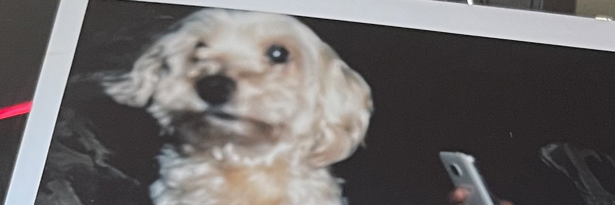 geeezyyy's profile banner image