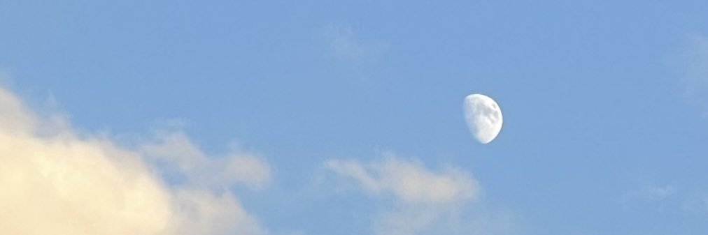 Rashell_cxx's profile banner image