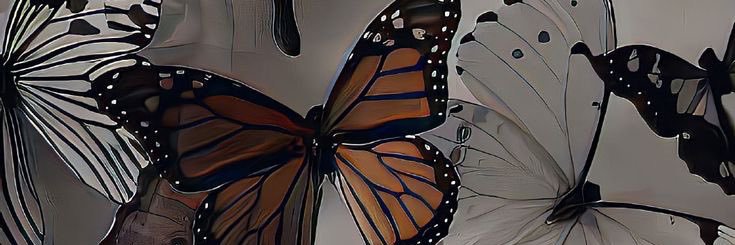 juspeak's profile banner image