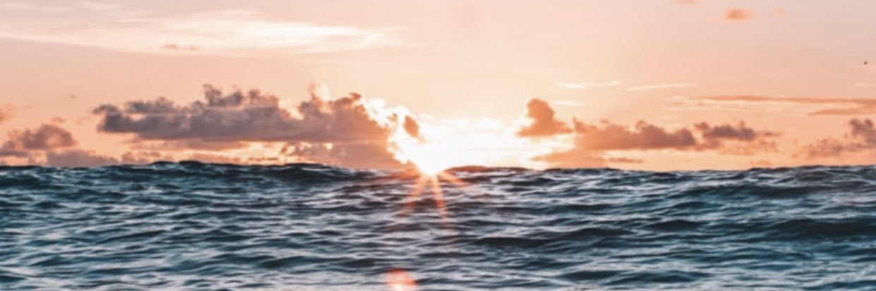 Ann_Coican's profile banner image
