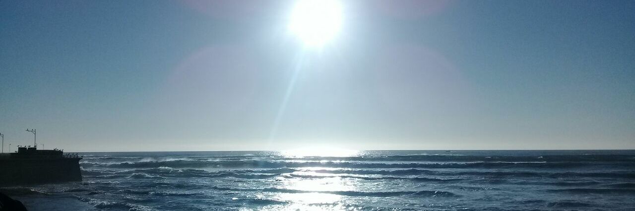 Isabel Arévalo🌳del digno 56 % ! banner