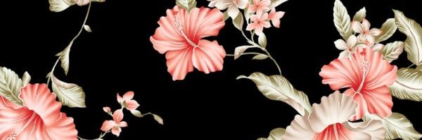 RomiiRubioo's profile banner image