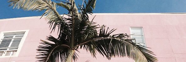 alexilederer's profile banner image