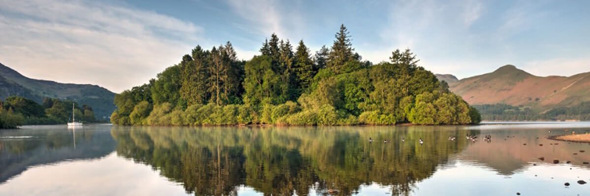 Matthew Heppel banner