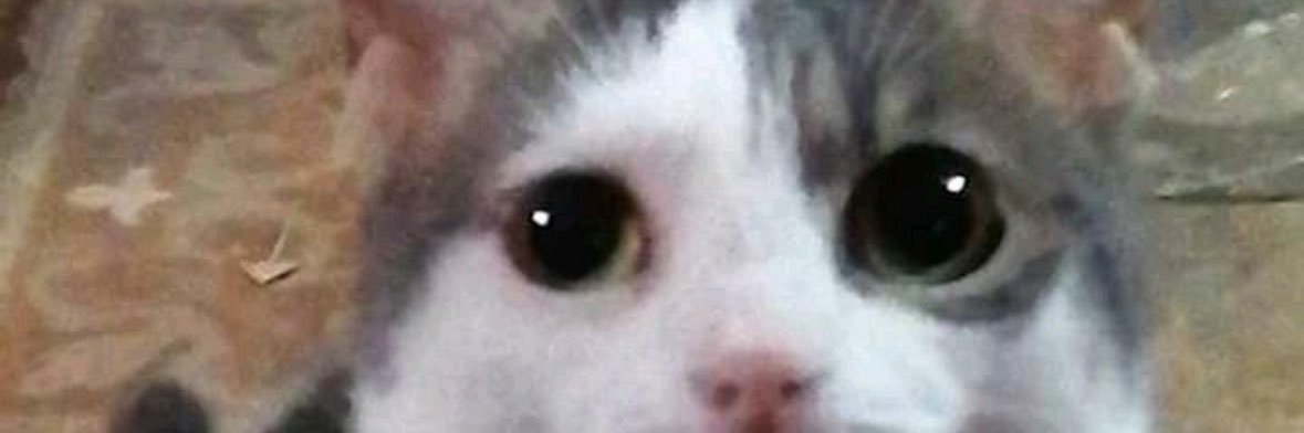 daniel lopez garcia banner