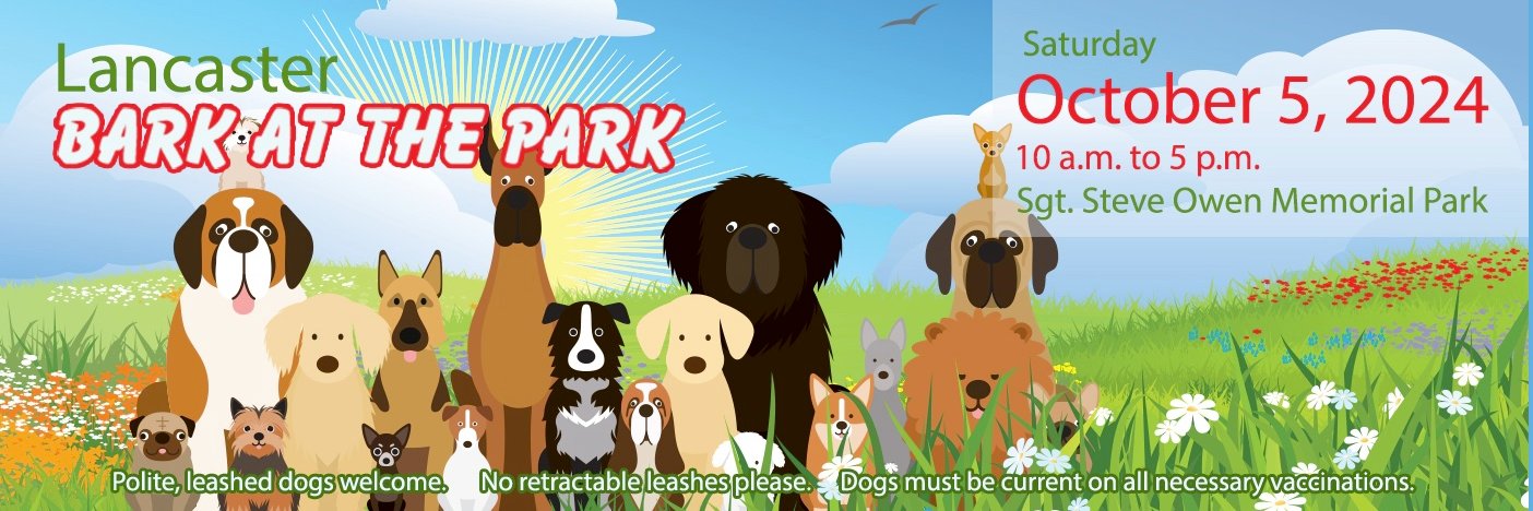 BarkatthePark's profile banner image