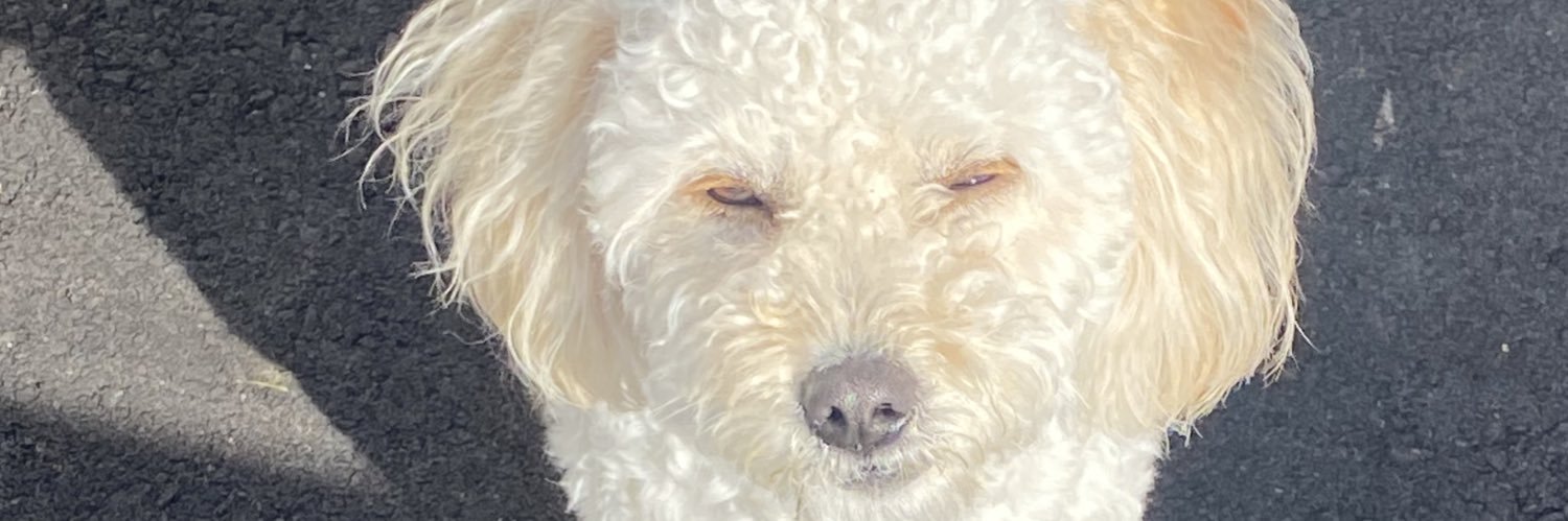 JossyCM_'s profile banner image