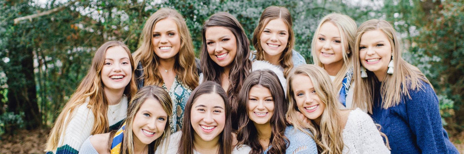 Aggie Delta Zeta banner