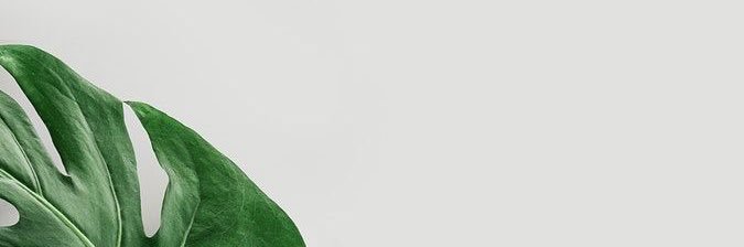 thanchanokgift's profile banner image