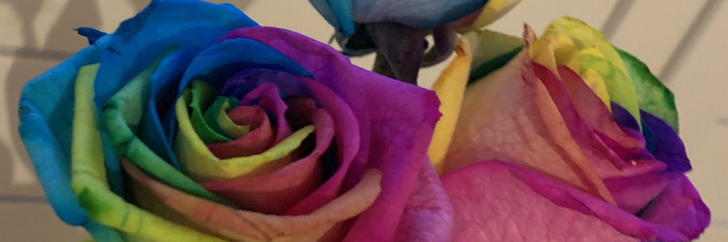 hebbstar's profile banner image