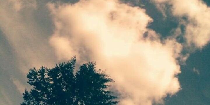 HwarangM's profile banner image