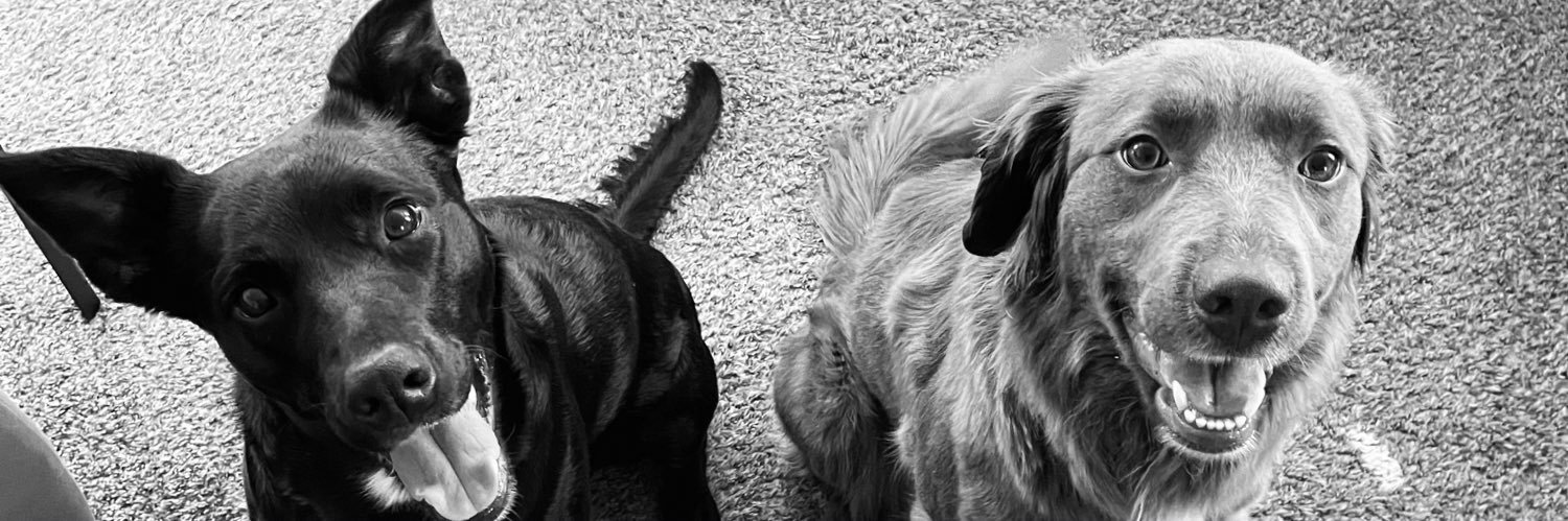 shiney006's profile banner image