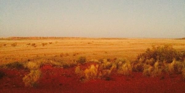 AussieProHoe's profile banner image