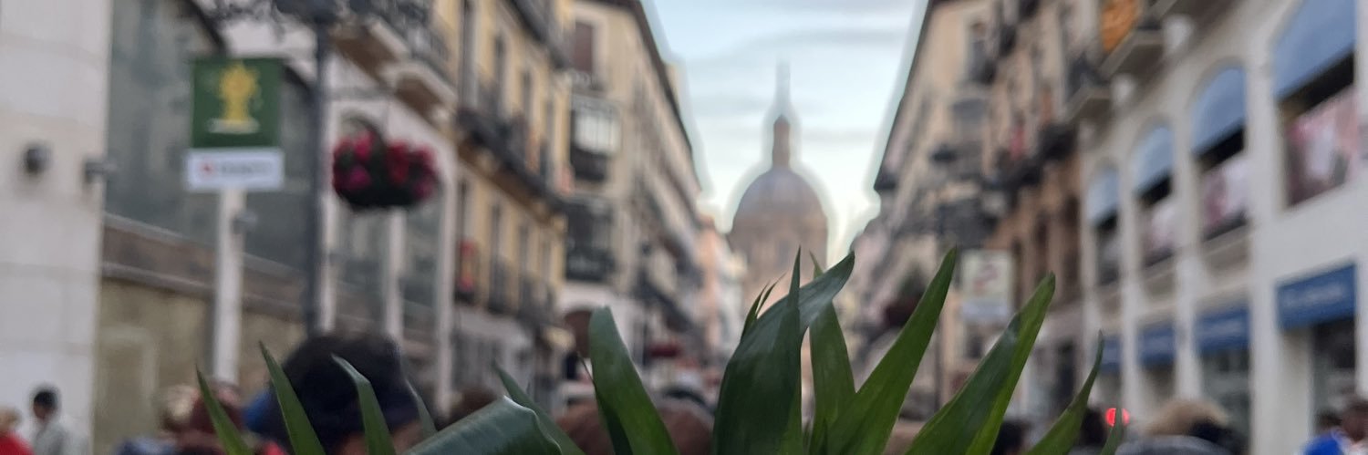 Marta_g_s's profile banner image