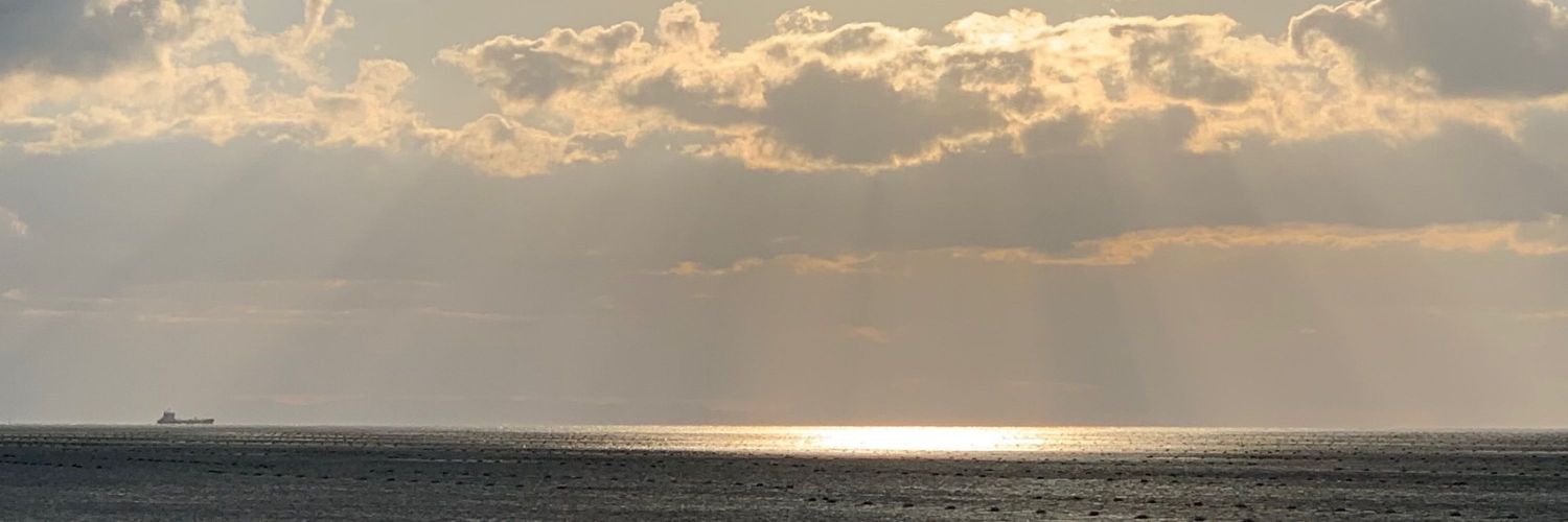 tango59631's profile banner image