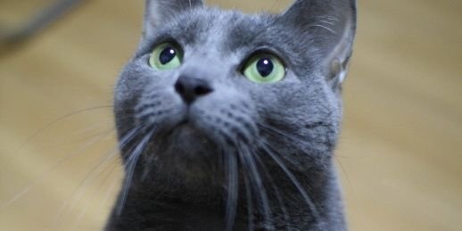 jinyuyong's profile banner image