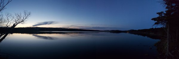 dpippy31 Profile Banner