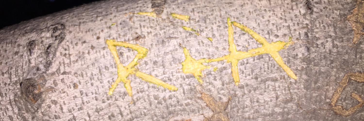 RorySNewsham's profile banner image